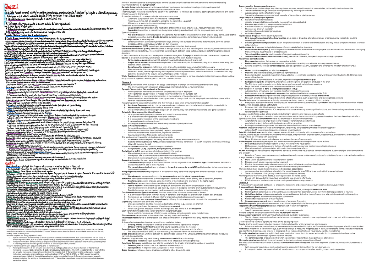 Neuro 101 Midterm Cheat Sheet: Synaptic Transmission ...