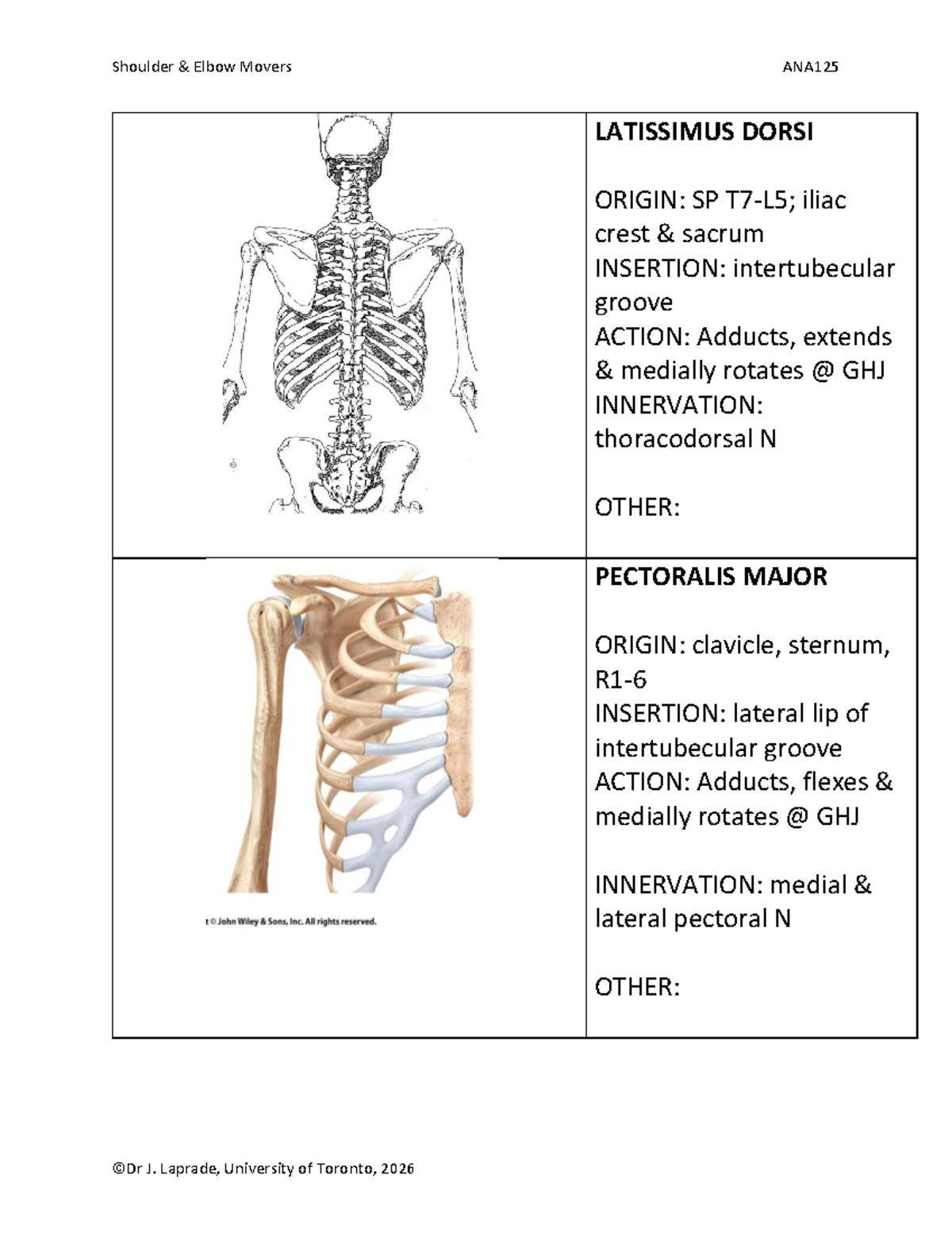 Shoulder Elbow Movers ANA125: Muscles of Humerus & Elbow 2026 - Studocu