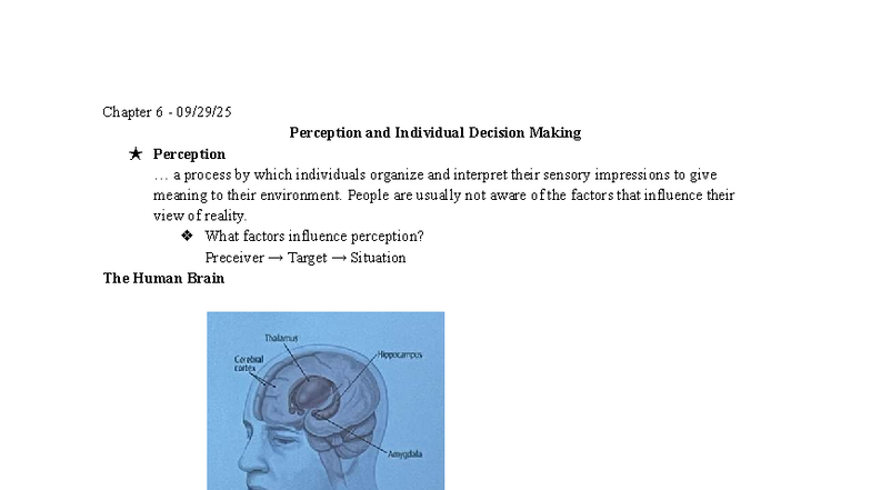 BNAD 302 Chapter 6: Perception & Individual Decision Making Notes - Studocu