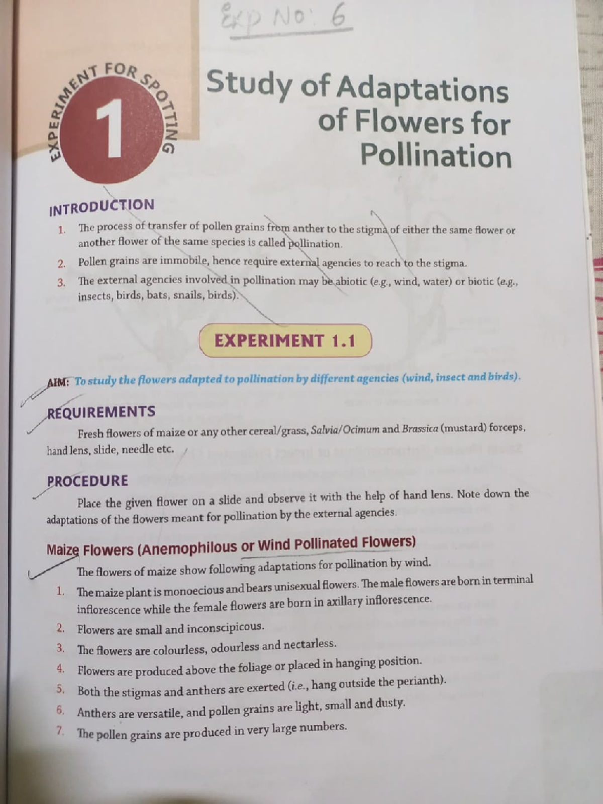 Study of Flower Adaptations for Pollination (6 çOR SP MENT 1) - Studocu