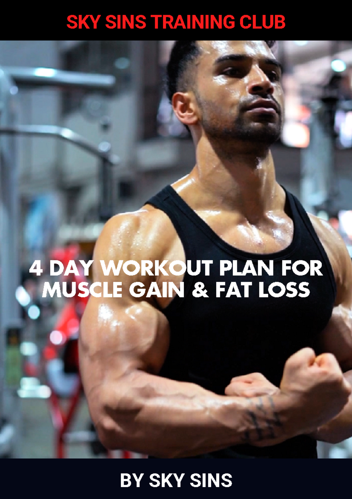 4 DAY Workout PLAN FOR Muscle GAIN + FAT LOSS - BY SKY SINS 4 DAY ...