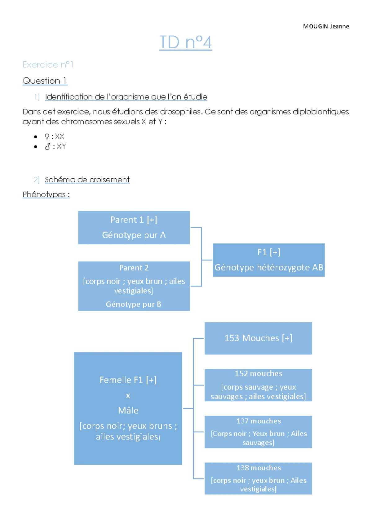 GAME TD2 Exercice 1 - td 2 game - Génétique formelle TD 2 : Exercice 1 ...