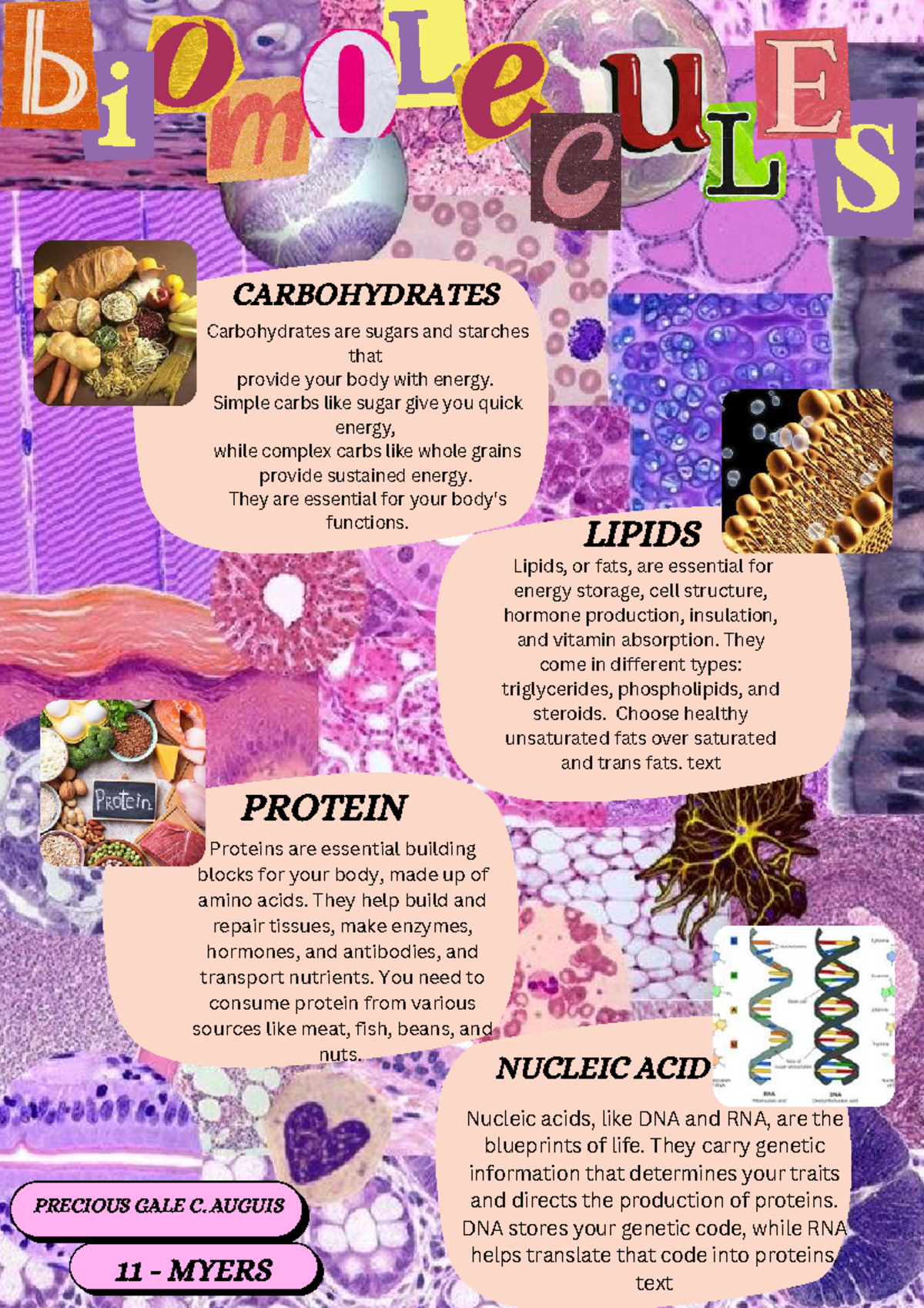 Biology 101: Essential Macromolecules Overview and Functions - Studocu