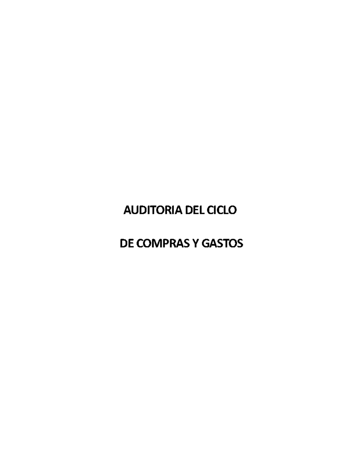 Auditoría del Ciclo de Compras y Gastos: Análisis y Control Interno ...