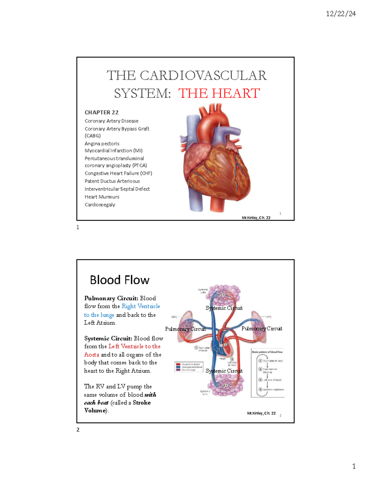 Ch. 22 Heart: Cardiovascular System & Coronary Artery Disease Notes ...