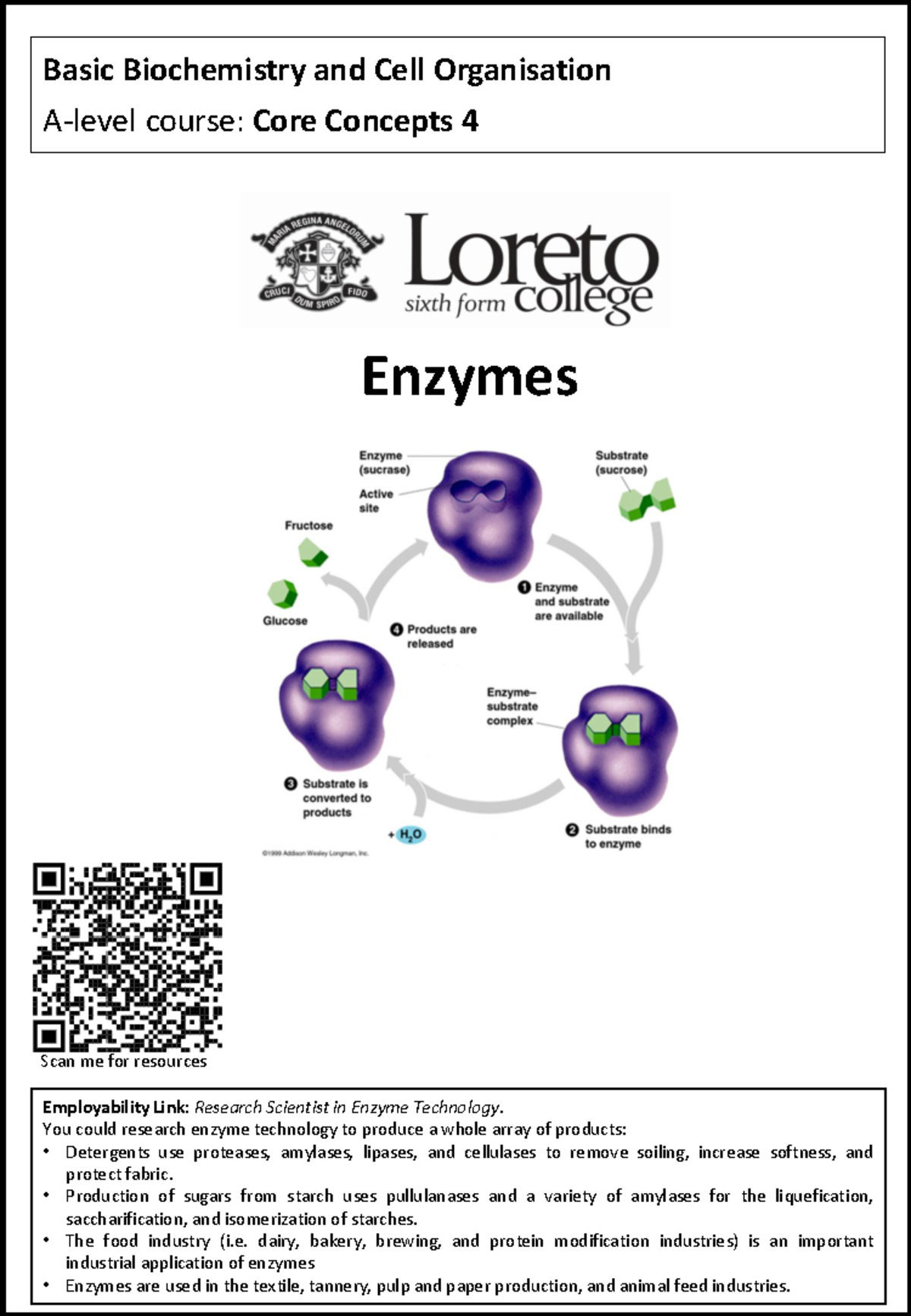 Core Concepts 4 - A-level Biochemistry: Enzyme Structure & Function ...