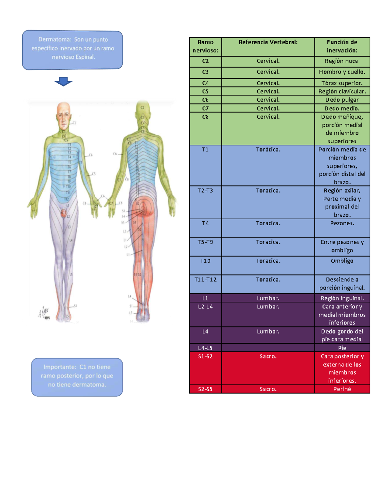 Infecciones vaginales en el embarazo: riesgos y prevención, image size:1200x1553