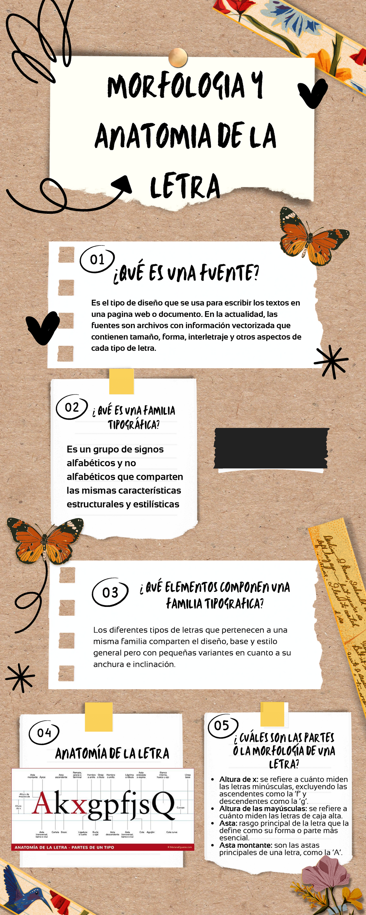 Morfología y Anatomía de la Letra: Diseño Tipográfico Esencial - Studocu