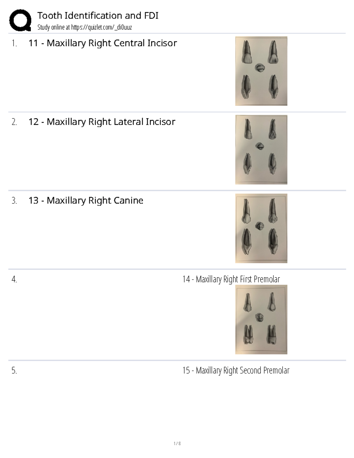 Tooth Morphology and FDI Identification Study - Studocu