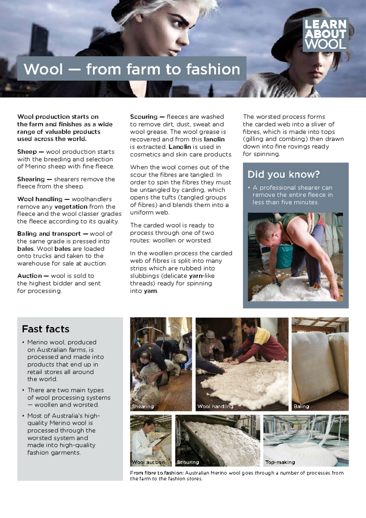 Wool Processing: From Farm to Fashion (Course Code: GD0317) - Document Preview