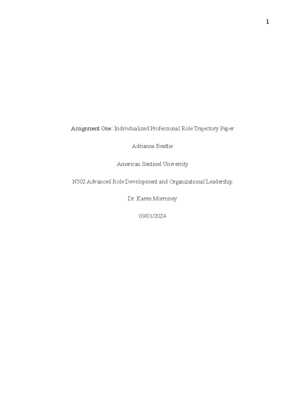 N502 Assignment 1: Individualized Professional Role Trajectory Paper ...