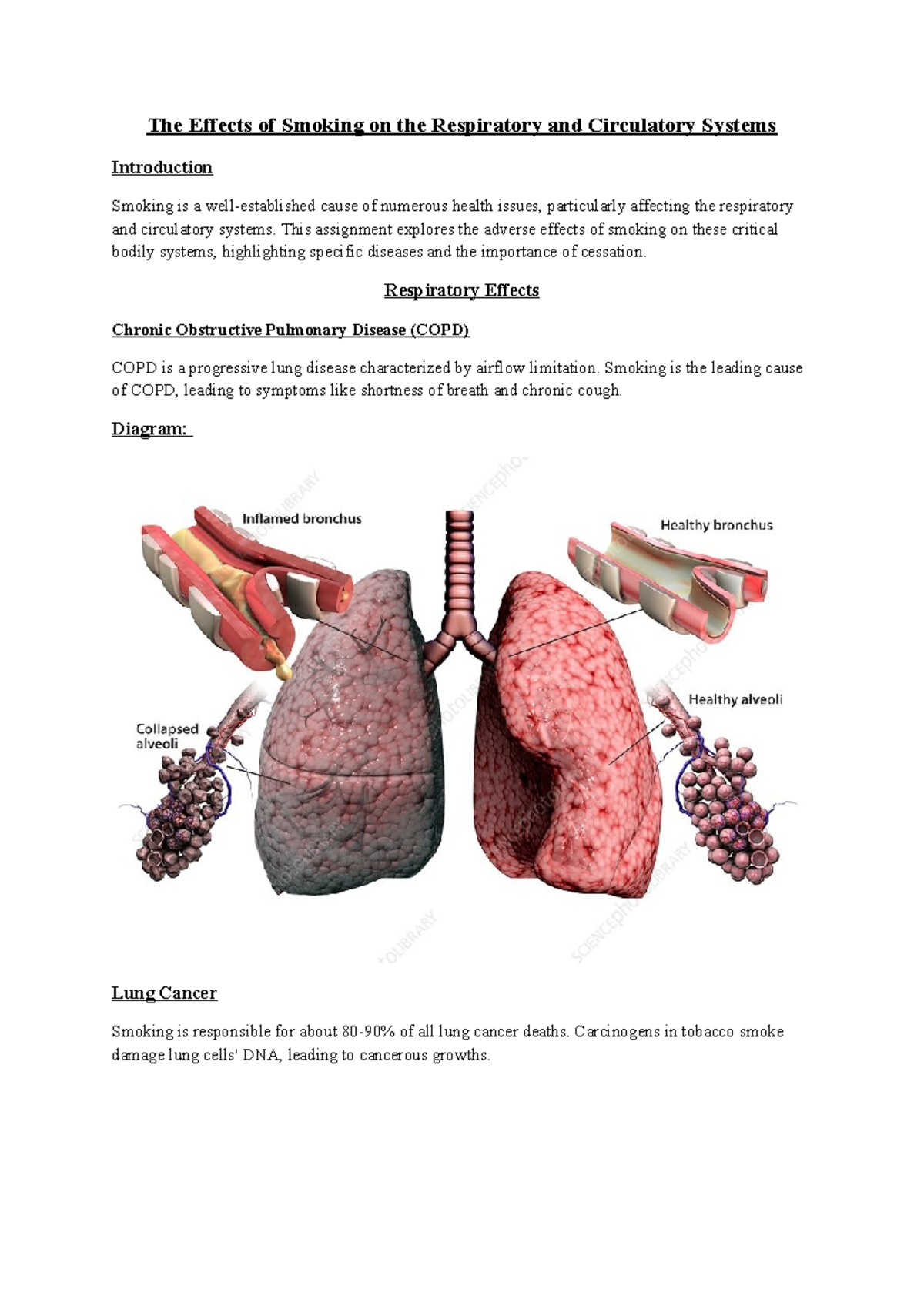 where can i buy roll your own tobacco Roll Your Own Tobacco| Bucks Tobaccoria Inc