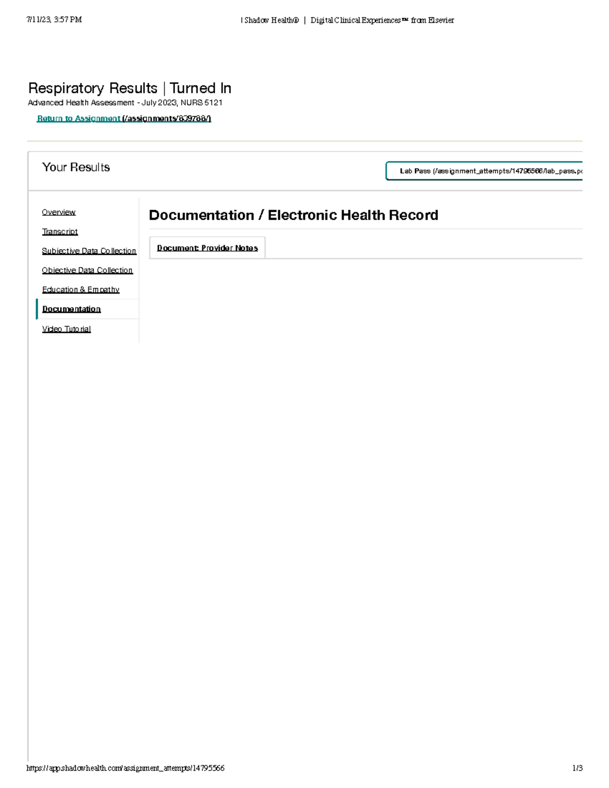 Shadow Health TJ Documentation - 7/11/23, 3:57 PM | Shadow Health ...
