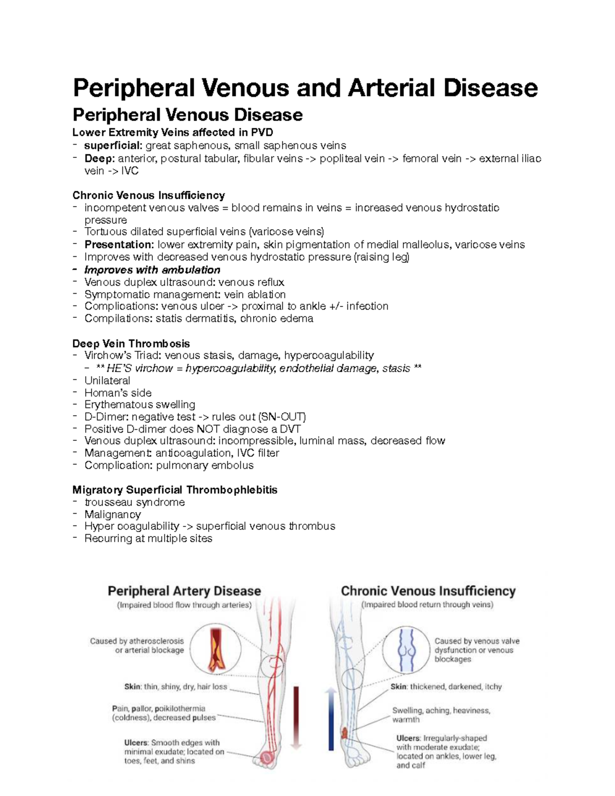 Hypertension & Peripheral Vascular Disease Overview (MED101 Final Exam ...