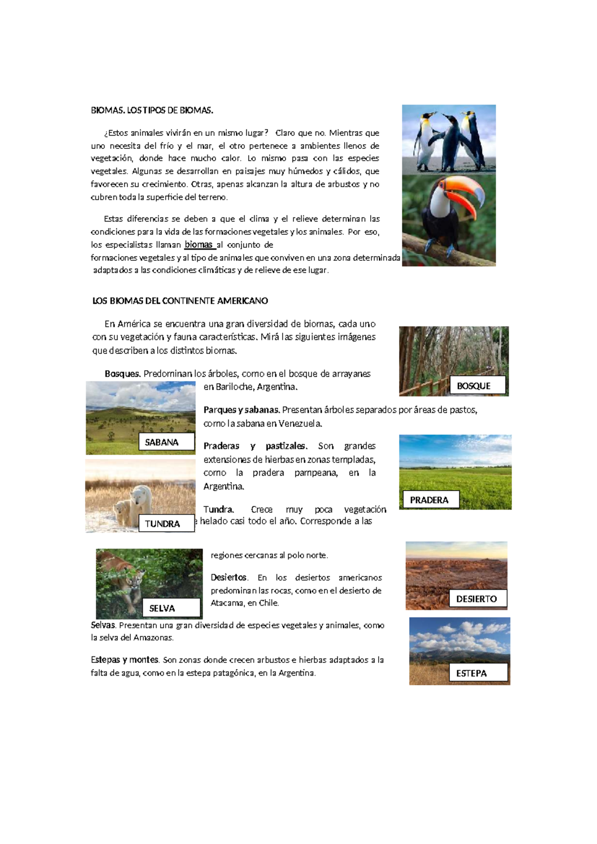 Biomas de América: Tipos y Características - Actividad Especial - Document Preview