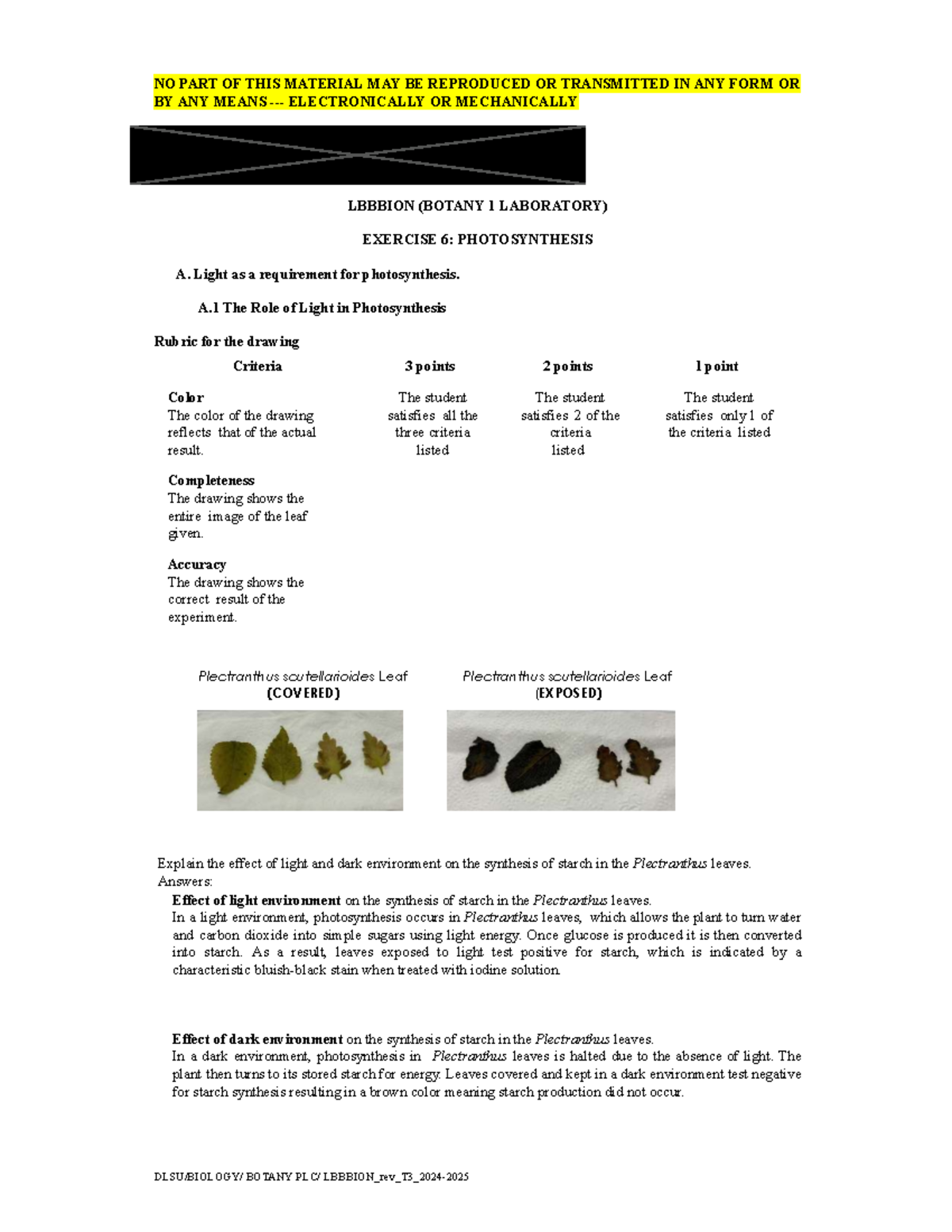 BOTANY 1 LAB EXERCISE 6: PHOTOSYNTHESIS AND PIGMENT ANALYSIS - Studocu
