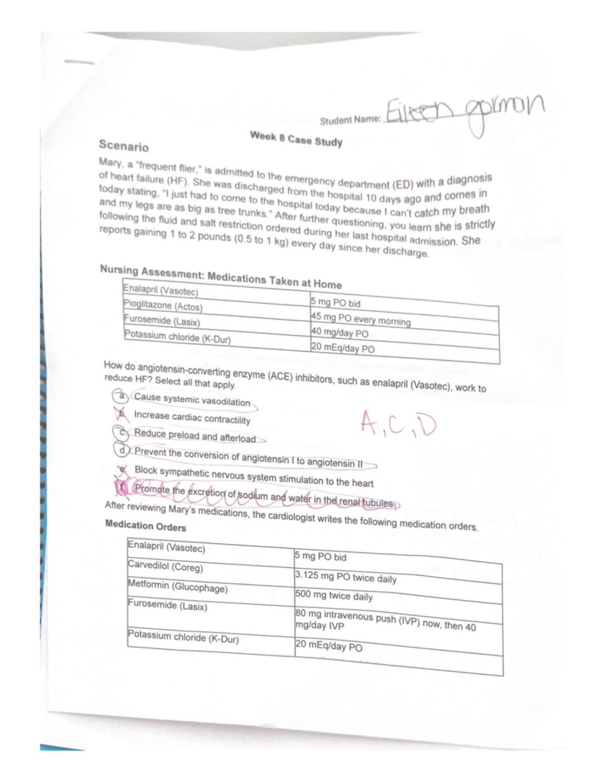 Week 8 Case Study - Homework Analysis and Takeaways - Studocu