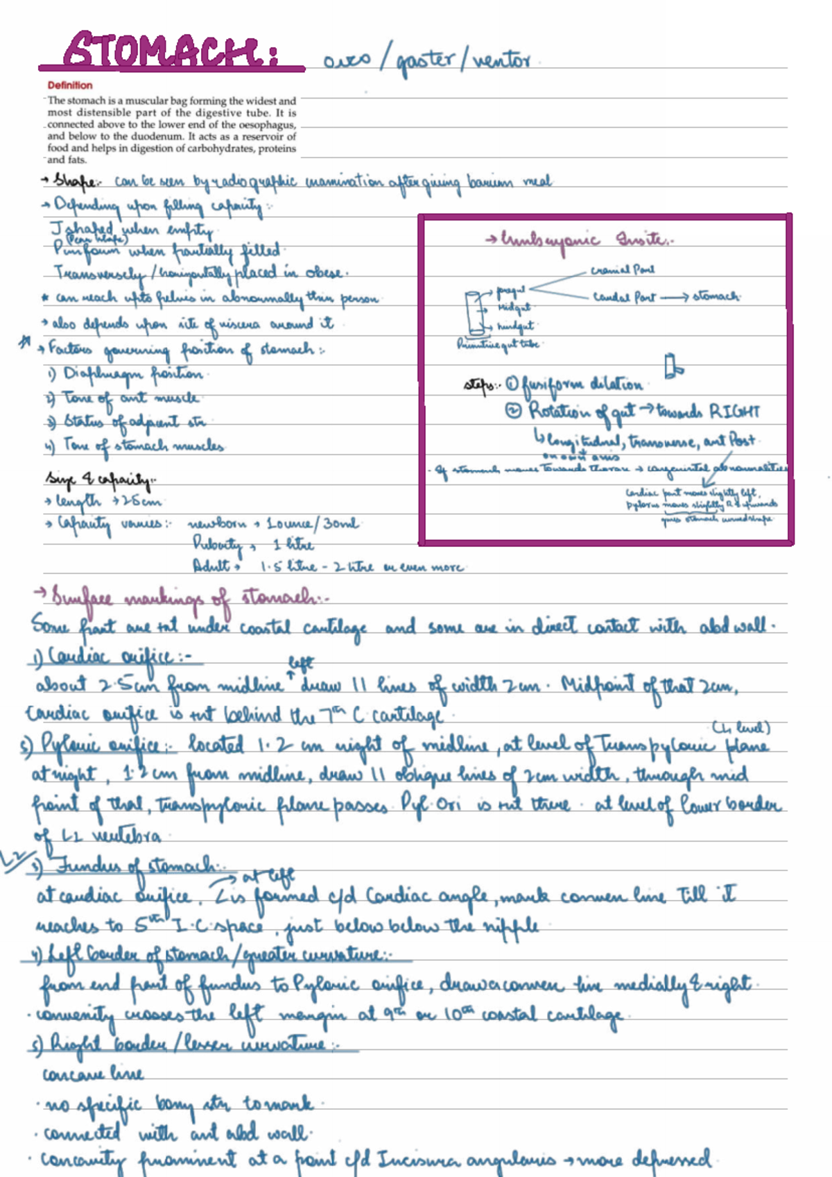 histology-of-the-colon-detailed-notes-on-git-git-101-studocu