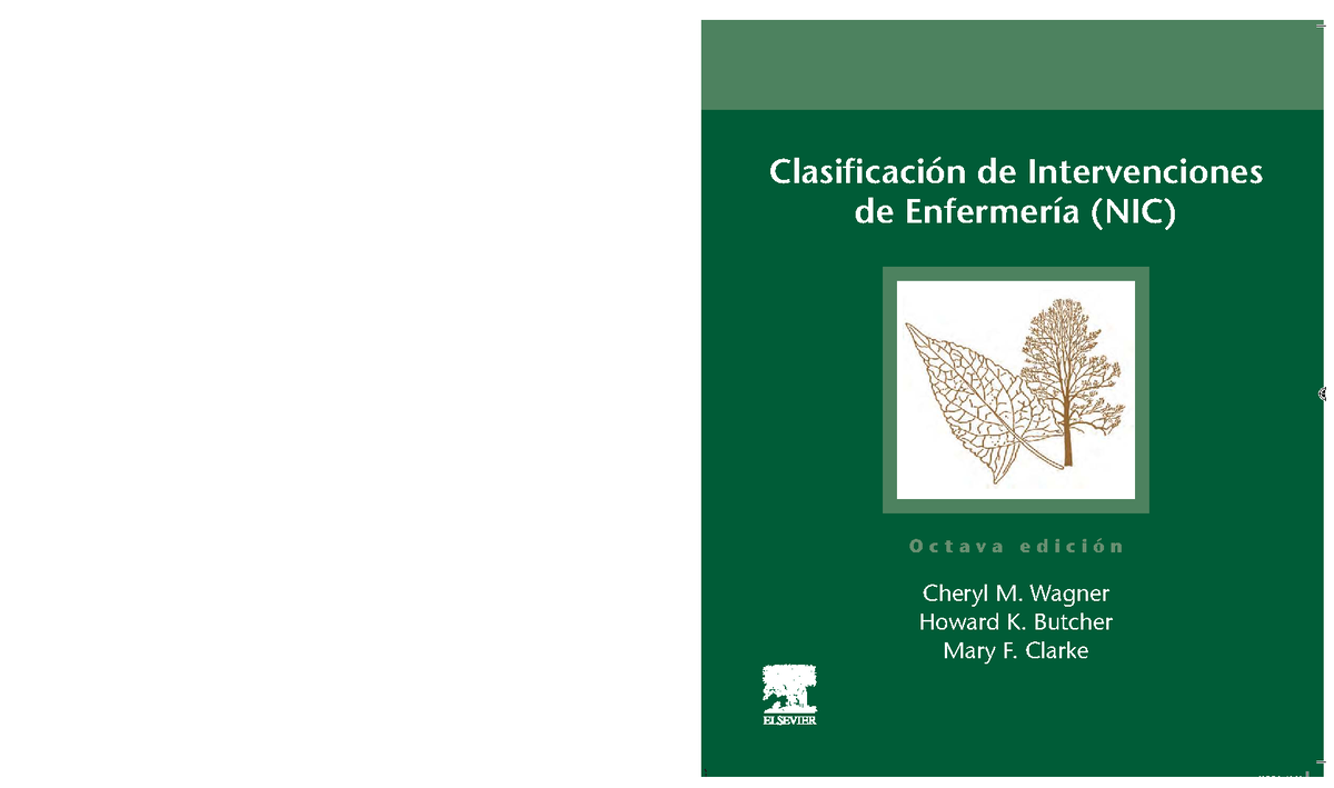 Clasificación de Intervenciones de Enfermería (NIC) 8ª Edición 2024 - Document Preview