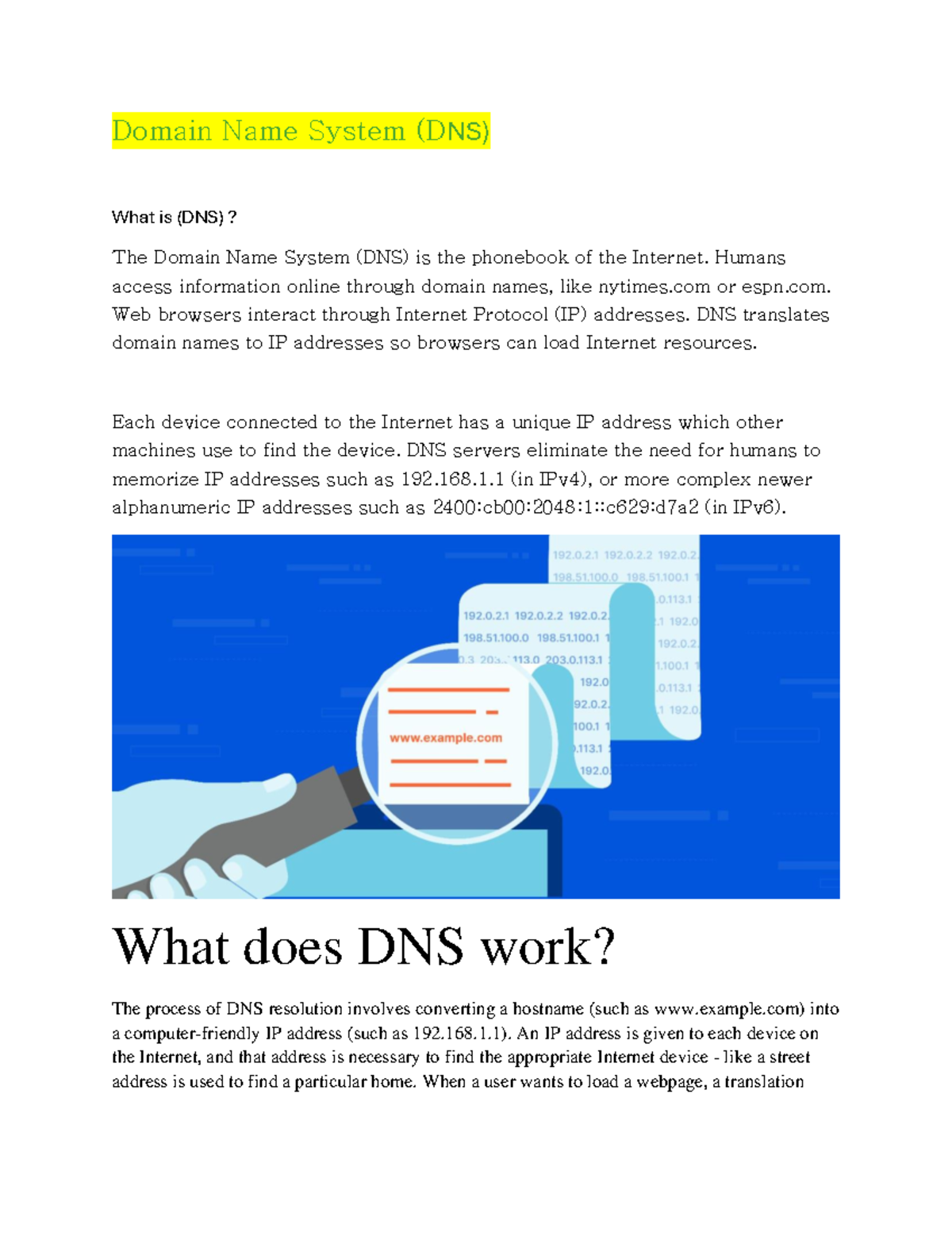 DNS Assignment 2 - Understanding Domain Name System Mechanics - Studocu