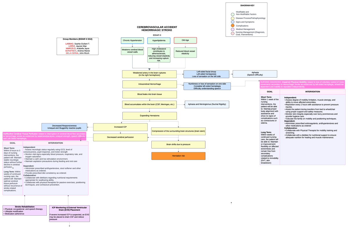 CEREBROVASCULAR ACCIDENT (CVA) HEMORRHAGIC STROKE Nursing Management ...