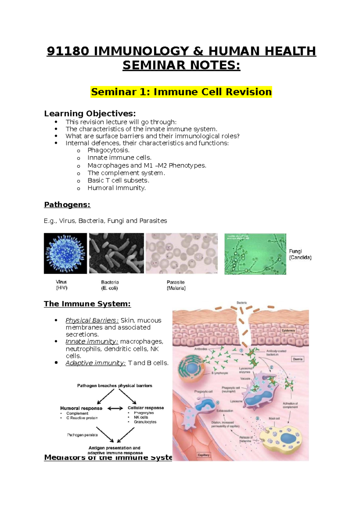 91180 IMMUNOLOGY SEMINAR 1: Immune Cell Revision Notes - Studocu