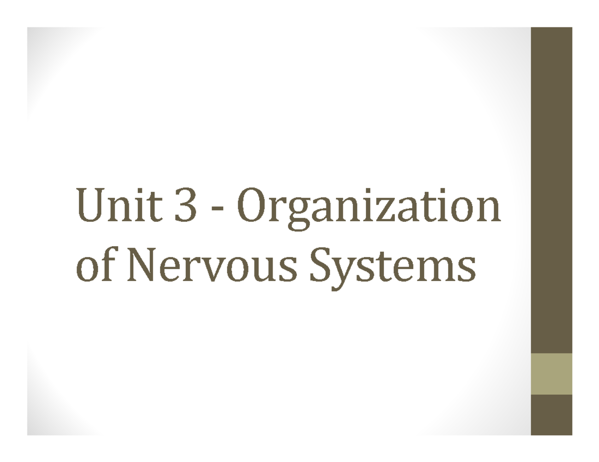 Unit 3 - CNS & PNS: Organization and Brain Structure Overview - Studocu