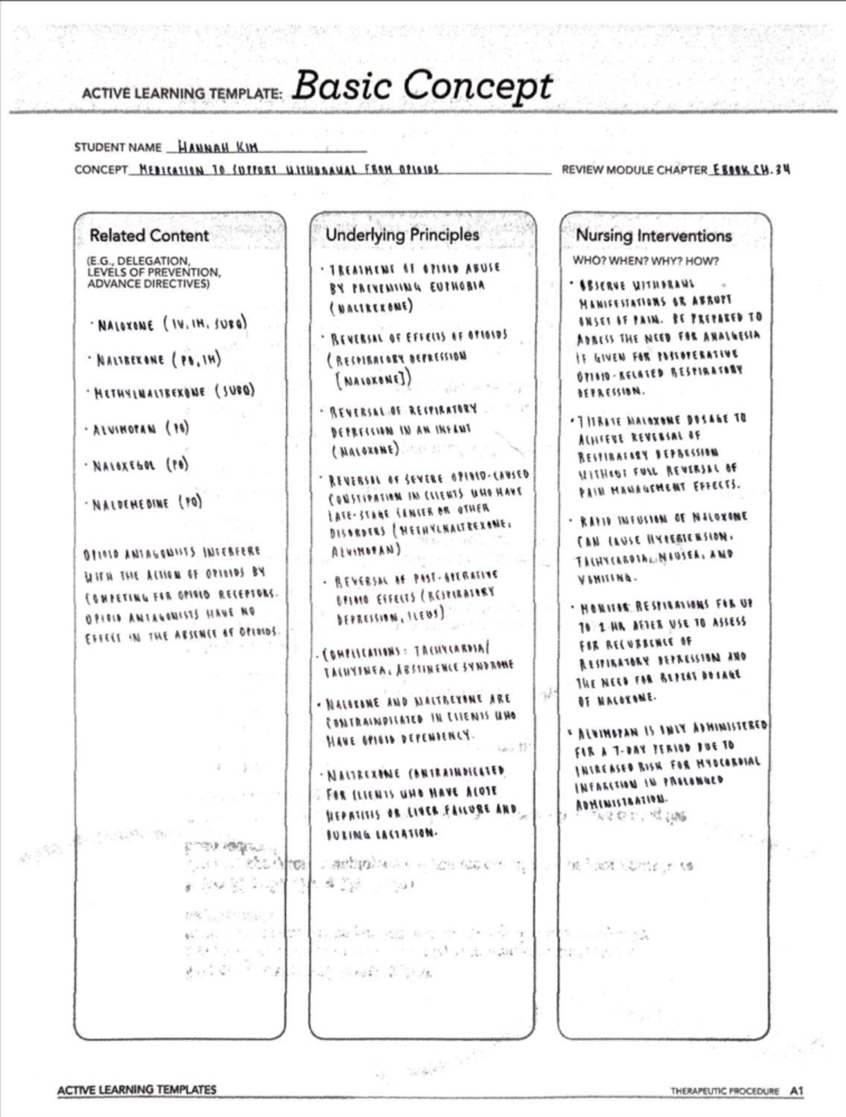 ACTIVE LEARNING TEMPLATE: Basic Concept Review for Nursing (WL, fuse ...
