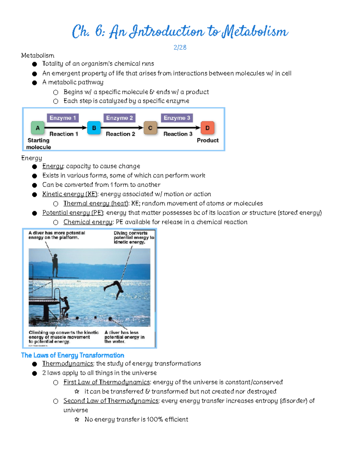 Ch. 6 An Introduction to Metabolism - Ch. 6: An Introduction to ...