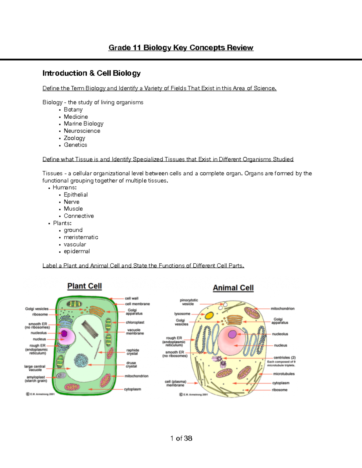 Grade 11 Biology - Comprehensive Exam Review and Key Concepts - Studocu