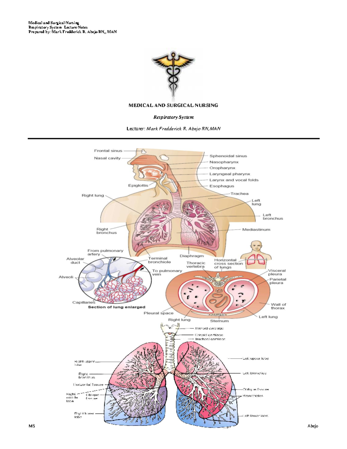 Medical-Surgical Nursing (MS 1) Respiratory System Lecture Notes by Abejo - Document Preview