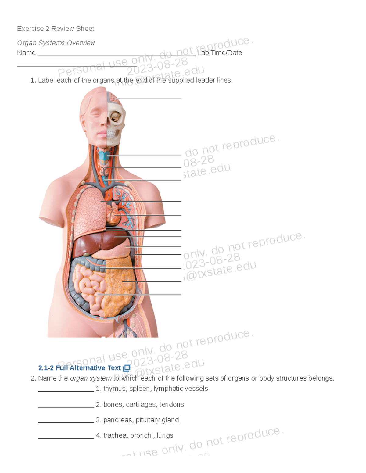 Lab Exercise 2 Review: Organ Systems Overview Guide - Studocu
