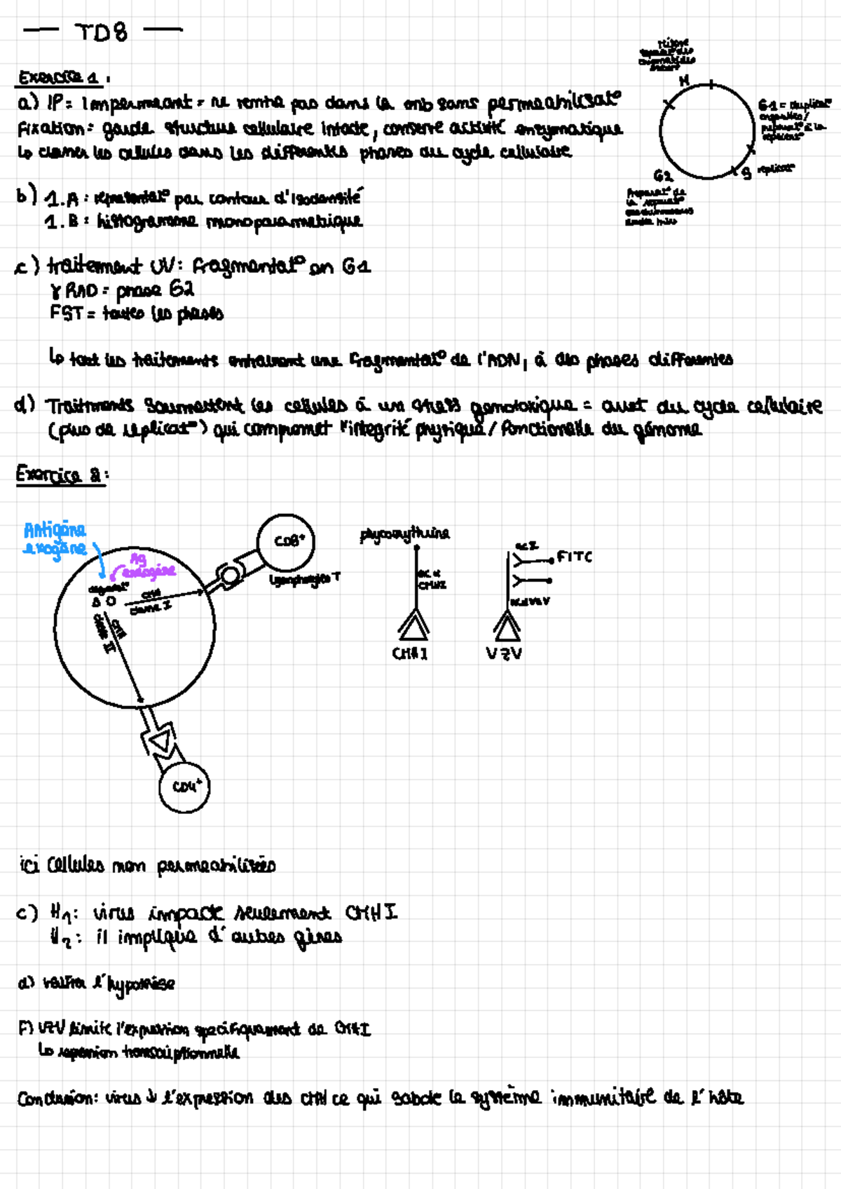 Bi440 TD8 Gène rapporteur énoncé/notes - Outils en génétique et ...