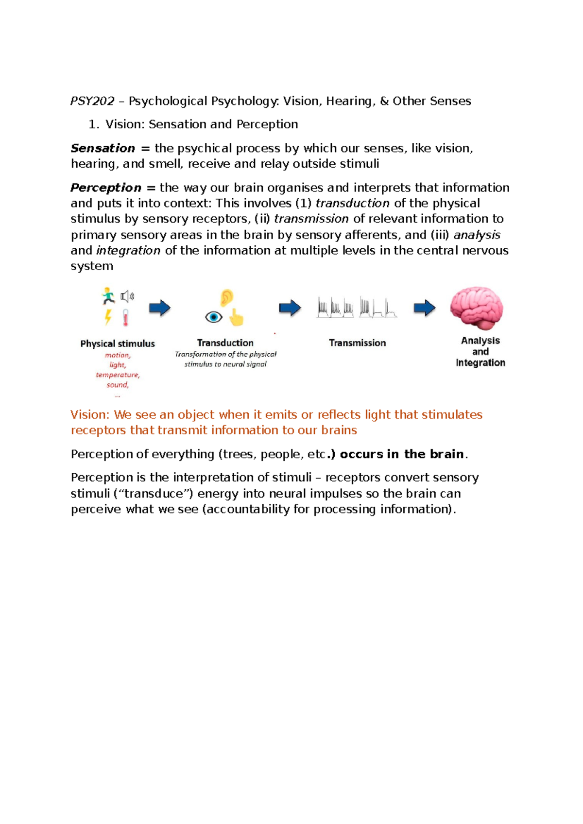 PSY202 - Week 3 Lecture Notes: Vision, Hearing, and Sensory Perception ...