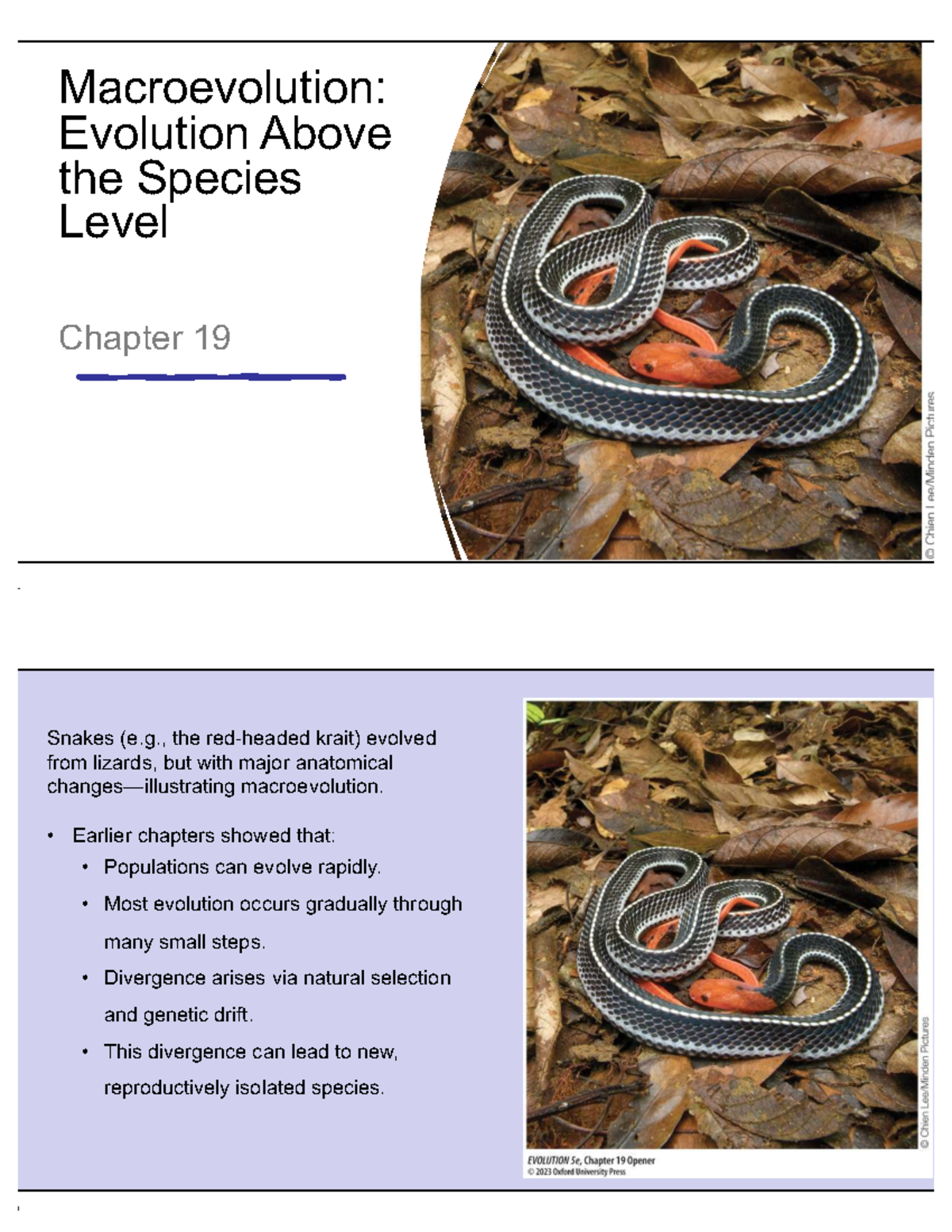 Macroevolution: Evolution Above the Species Level - Chapter 19 - Studocu
