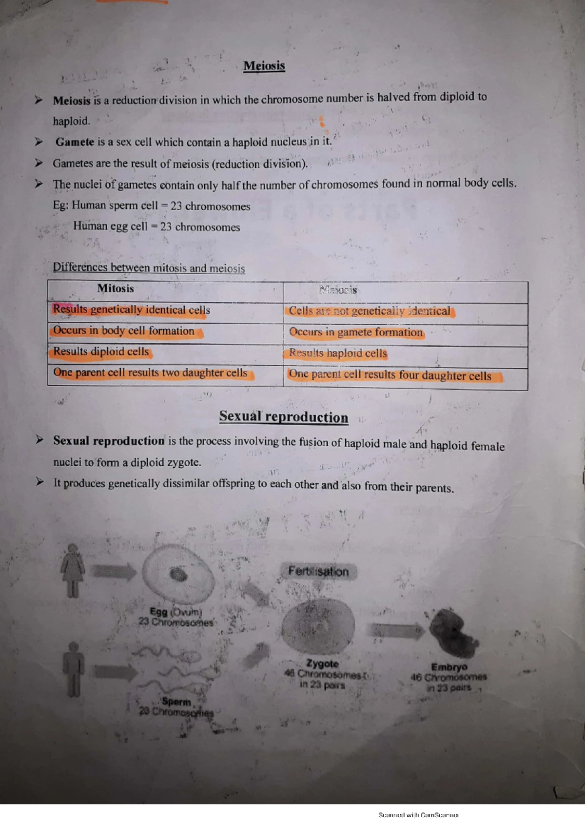 Biology CAQs P-2: Understanding Plant Physiology and Cultivation ...