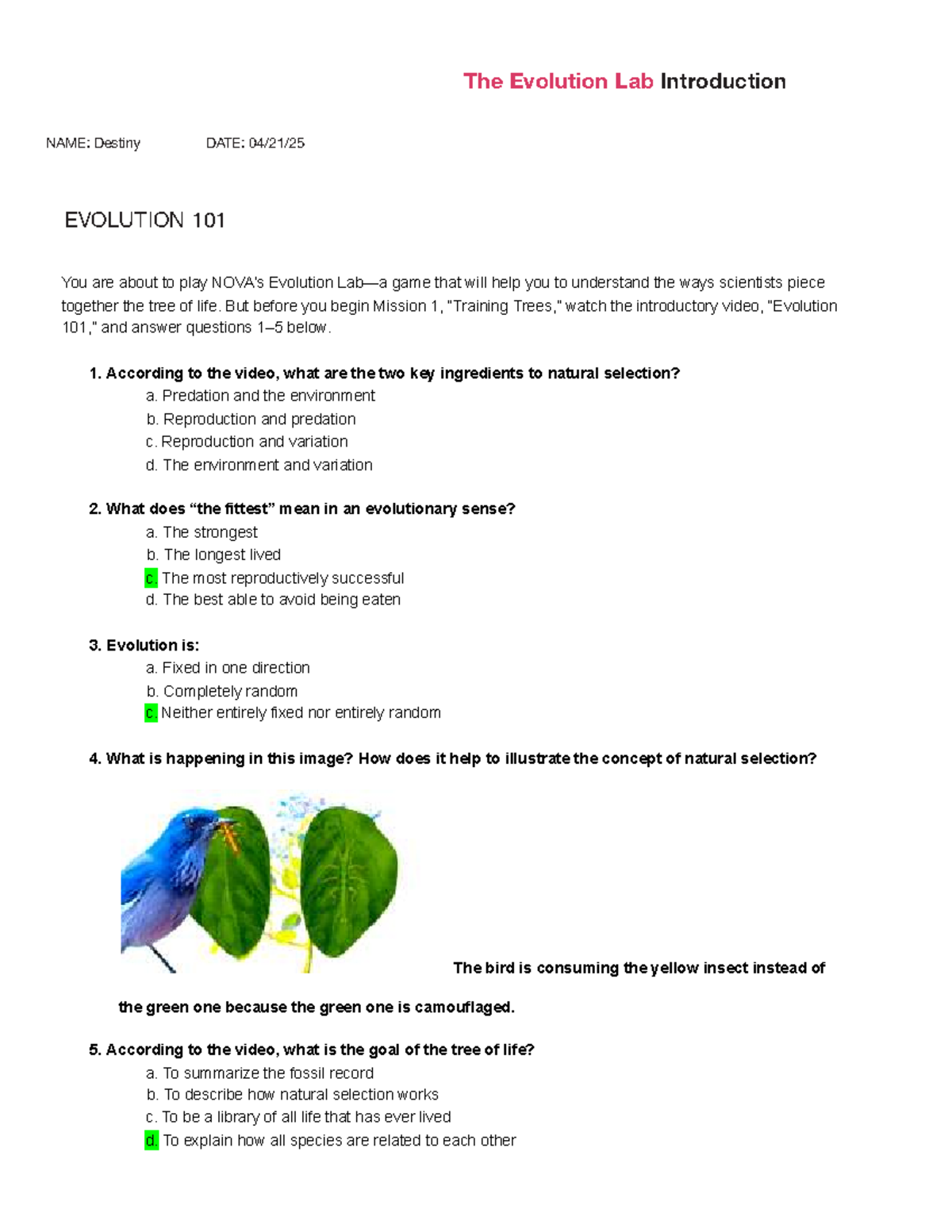 Evolution Lab Introduction: Understanding Natural Selection in ...