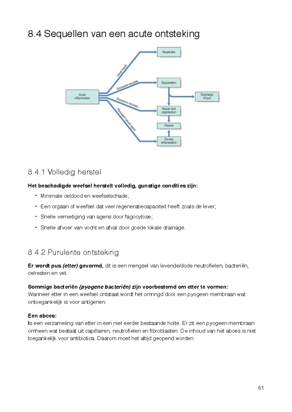 Samenvatting Pathologie: Acute en Chronische Ontsteking (P61-63) - Studocu