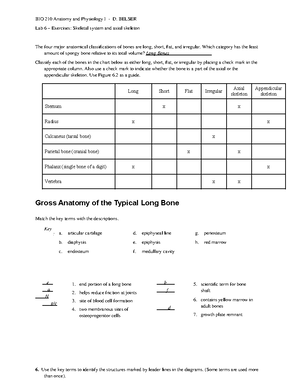[Solved] What are the six types of connective tissue found in the body ...