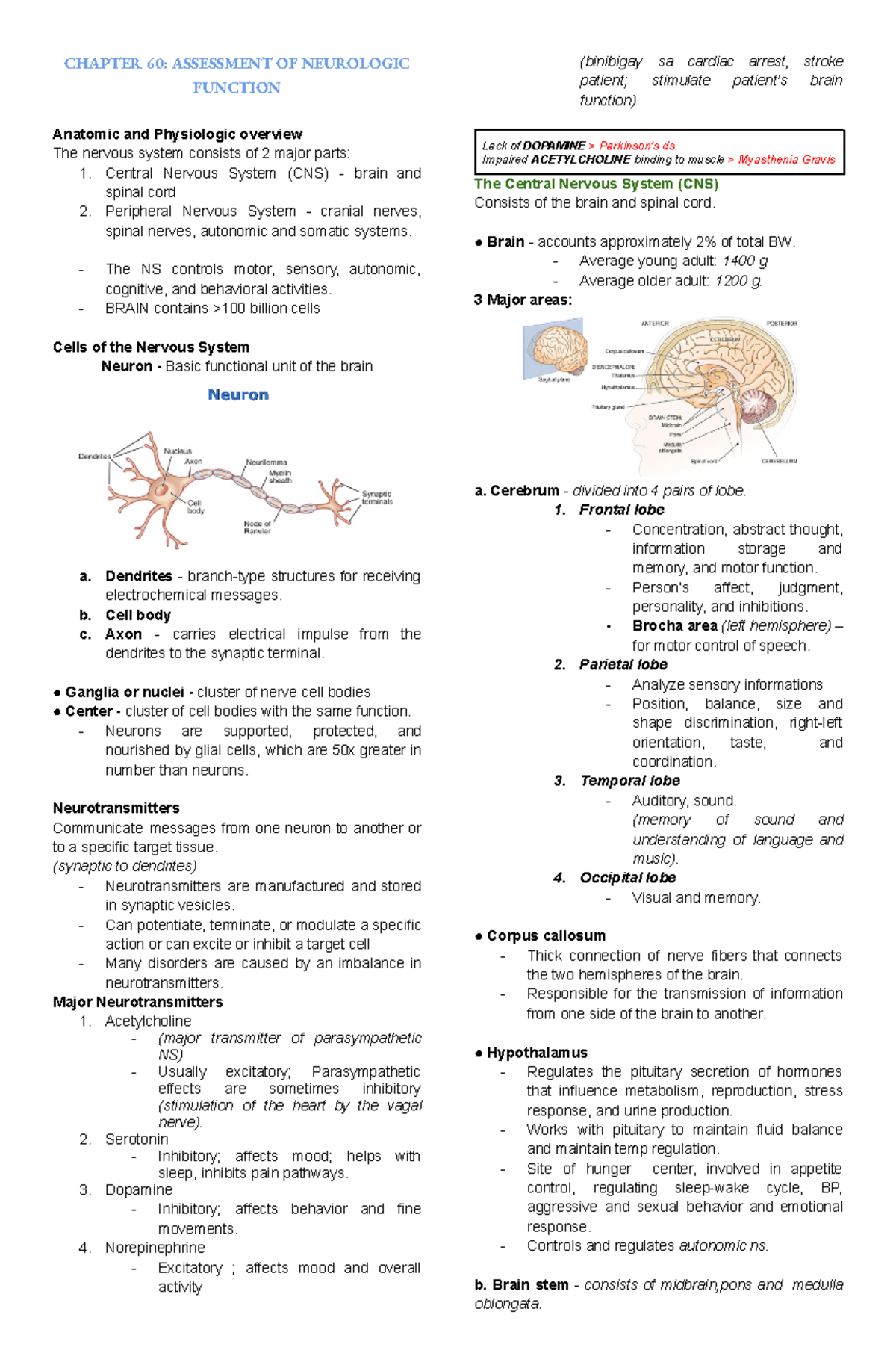 MS 2 Neurology Notes: Assessment & Management of Neurologic Function ...