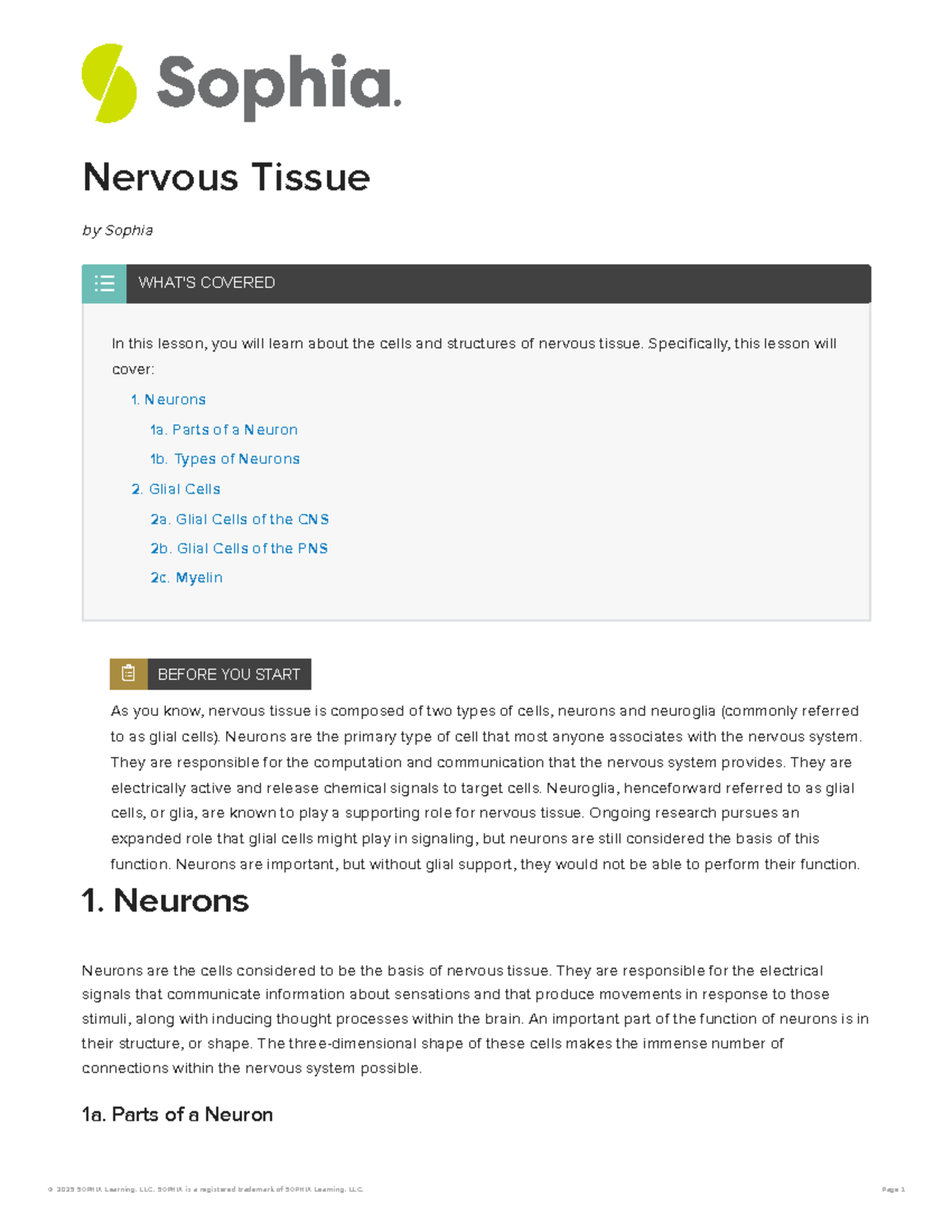 Nervous Tissue Overview: Neurons & Glial Cells - Lecture Notes - Studocu