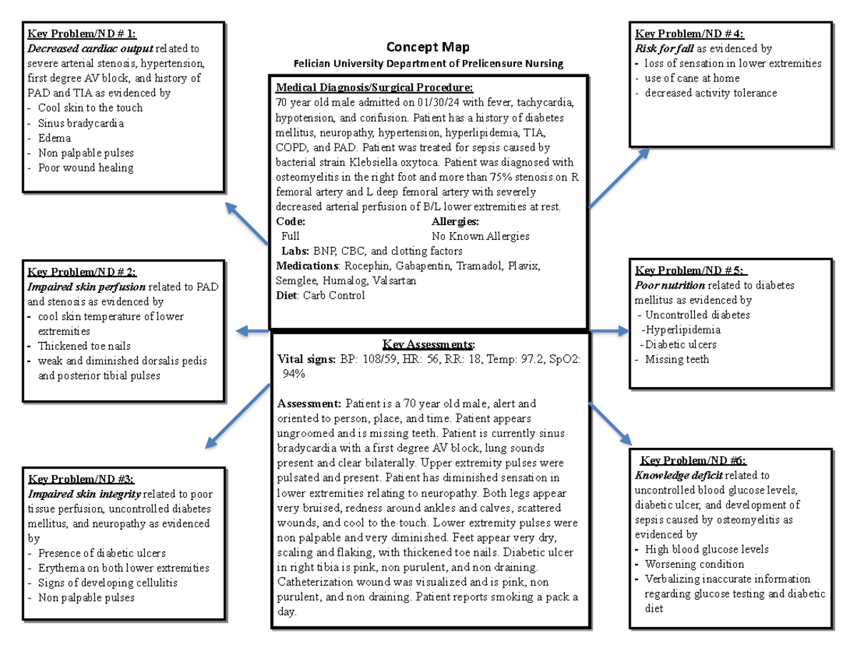 Concept Map for Nursing Care: Spring 2024 NUR-201 - Studocu