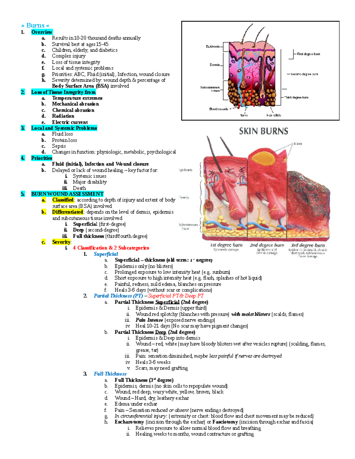 Nursing 232 Test 2: Comprehensive Overview of Burns and Management ...