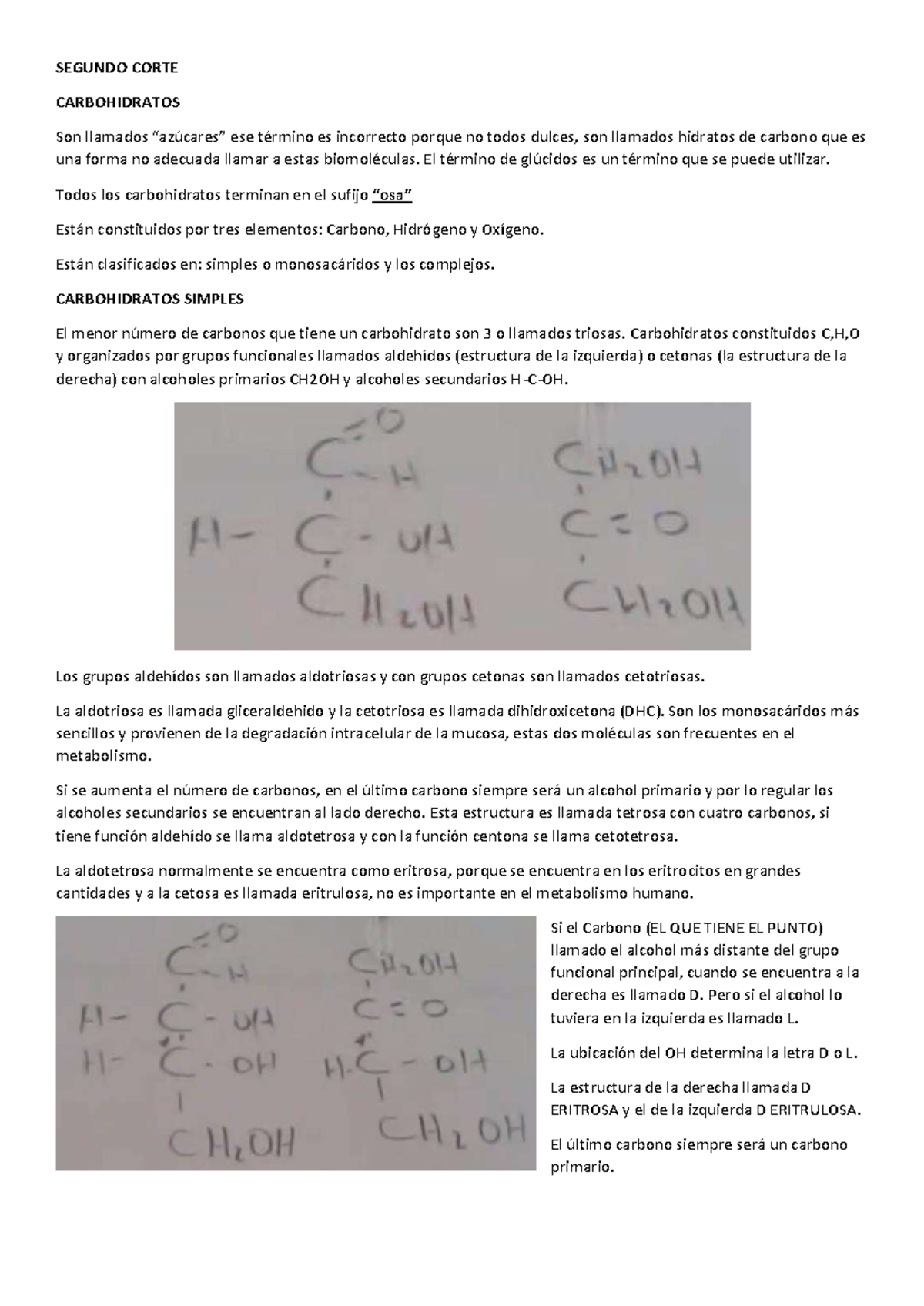 Resumen del Segundo Corte: Carbohidratos (Biología 101) - Document Preview