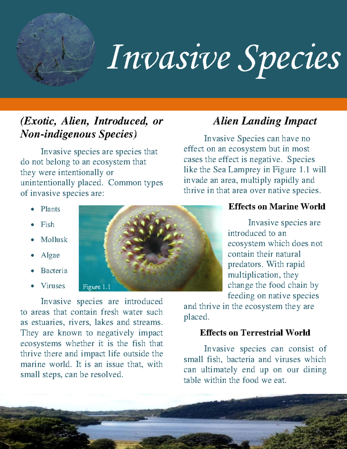 Invasive Species: Impact on Ecosystems and Biodiversity Overview - Studocu