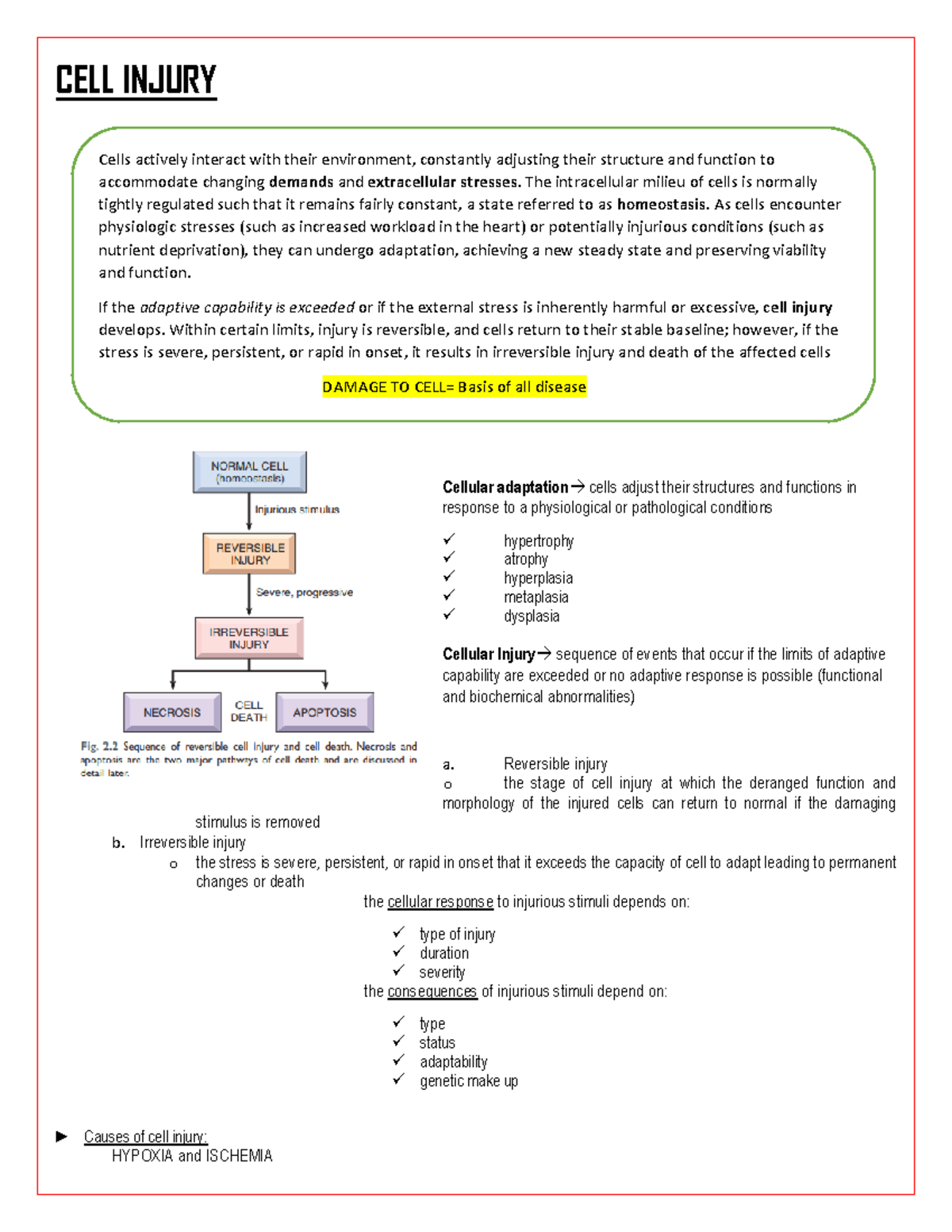 Cell injury - CELL INJURY Cellular adaptation → cells adjust their ...