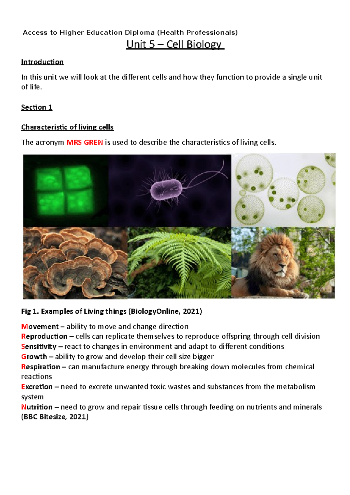 Unit 5 - Cell Biology - Assignment 1 - Cells & Their Functions - Studocu