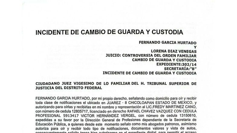Incidente de Cambio de Guarda y Custodia: Caso Fernando García y Lorena