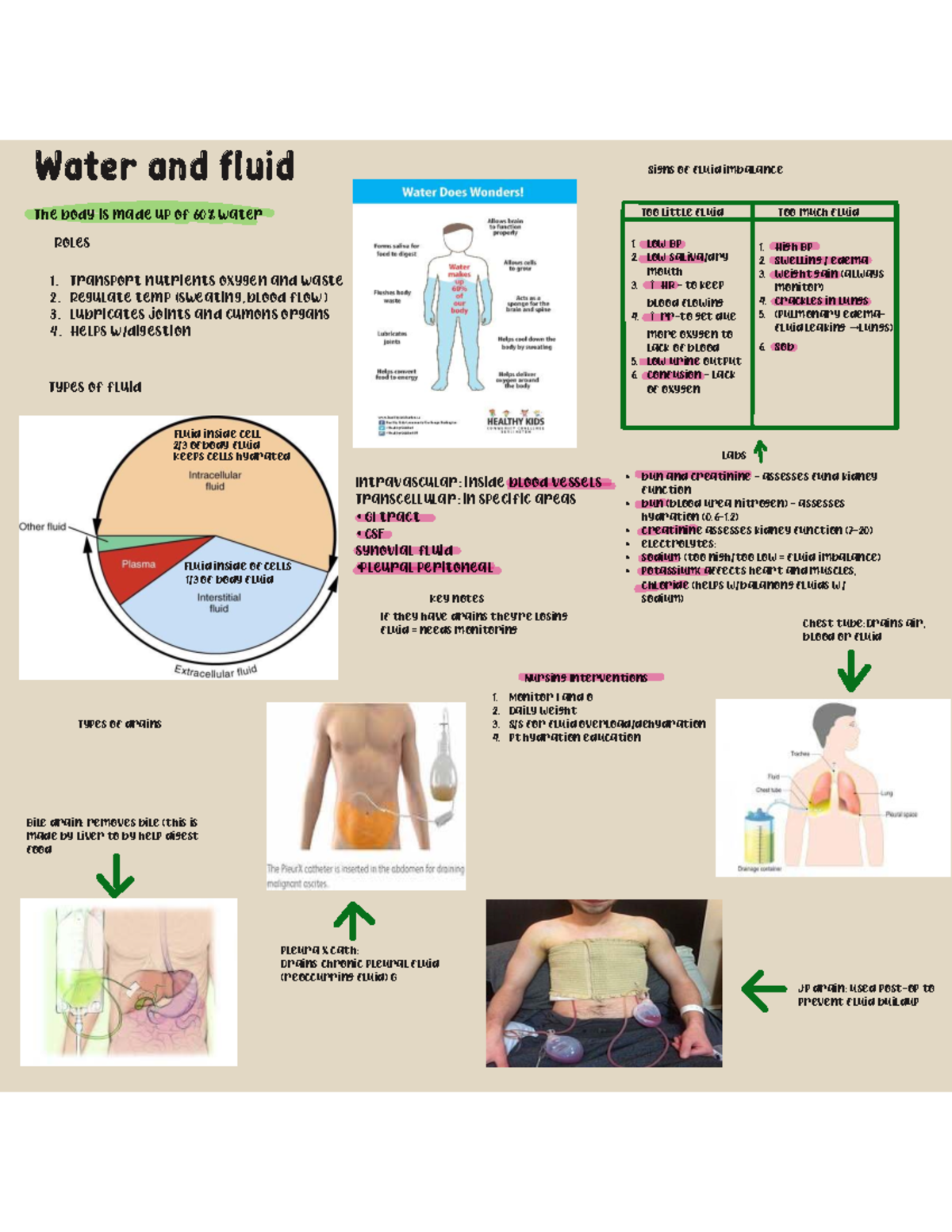 Fluid Management and Nursing Interventions: Key Concepts and Signs ...