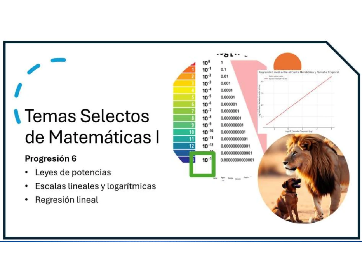 Actividad 3 P4 TSM1: Análisis del Tráfico en Ciudades - Studocu